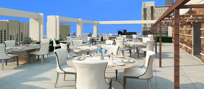 Laxmi Avenue Commercial Top terrace